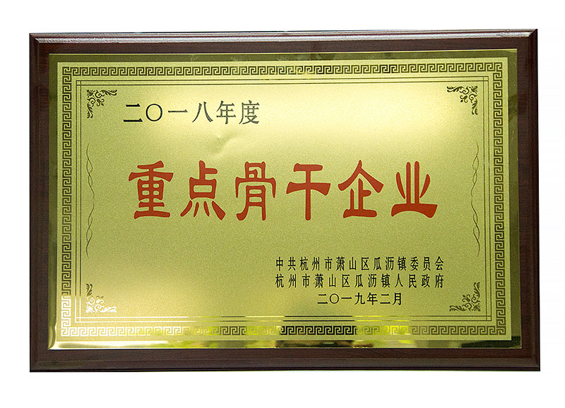 重點骨干企業(yè)