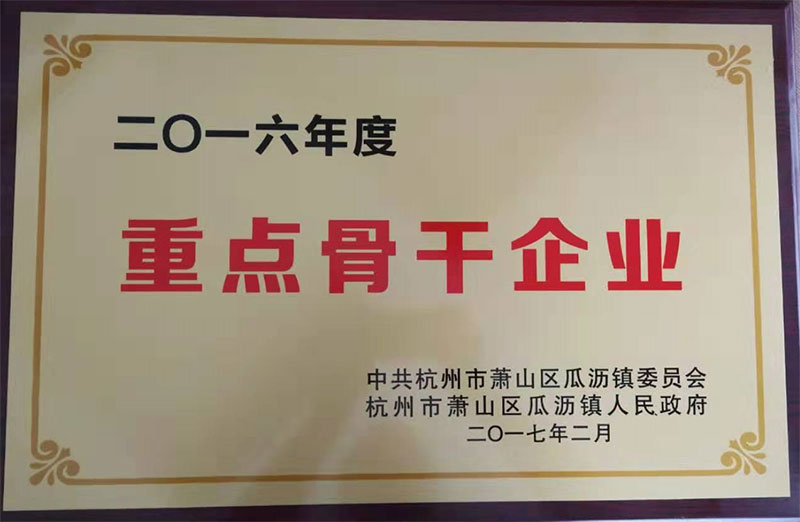 重點骨干企業(yè)